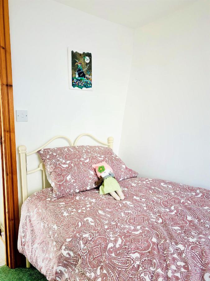 Higher Primrose Cottage Winkleigh エクステリア 写真