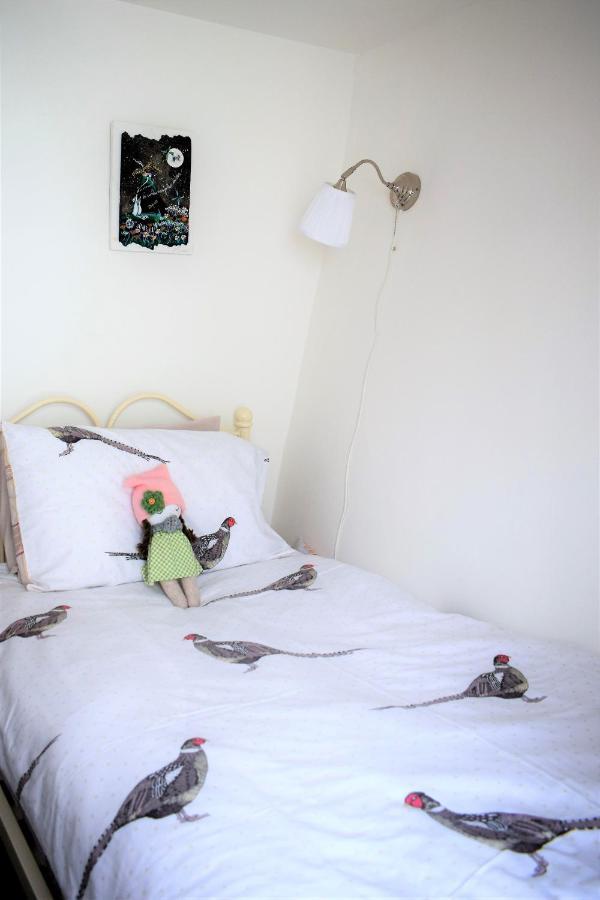 Higher Primrose Cottage Winkleigh エクステリア 写真